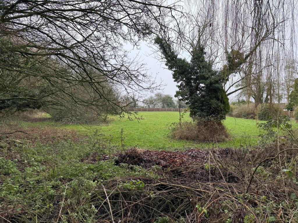 Lot: 96 - LAND WITH POTENTIAL - view of the land looking from the roadside
